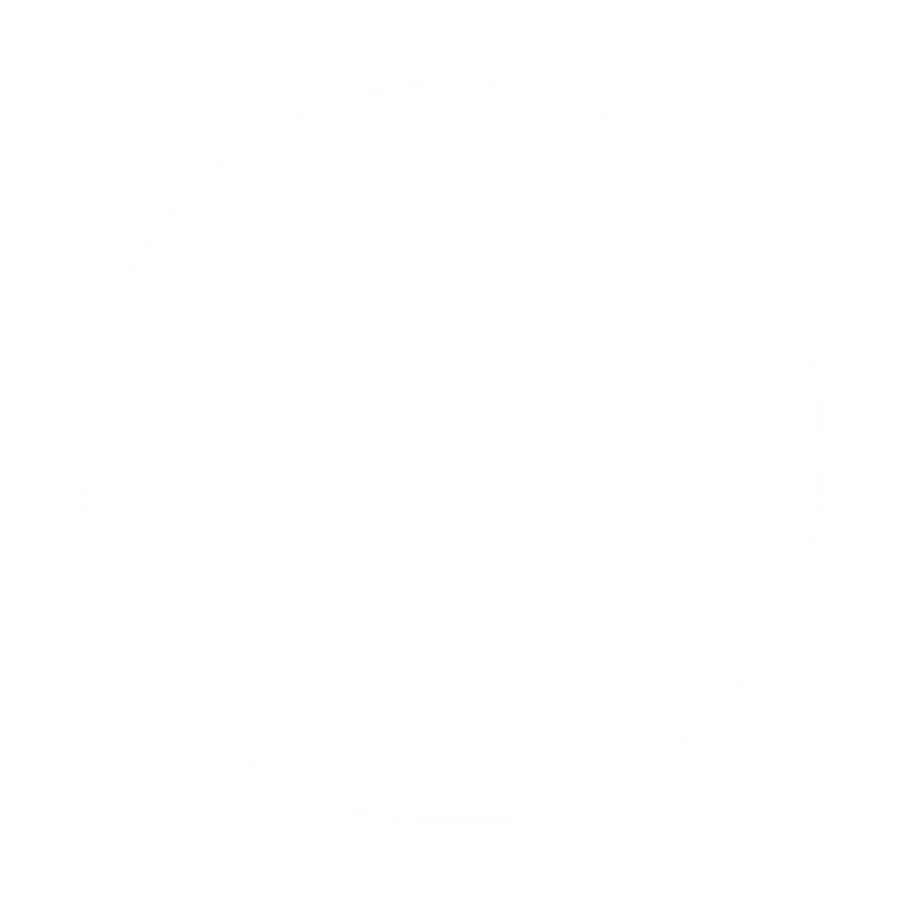 White Transparent Gradient Overlay